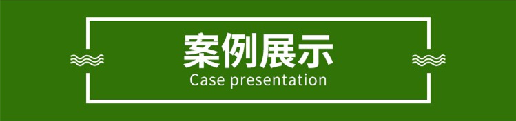 陇南国道抗冲击围栏案例展示